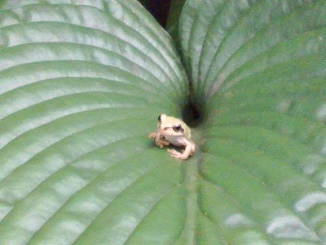 D1000030.JPG