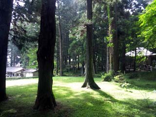 p20110814-095912.jpg